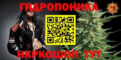 гашик Пыть-Ях